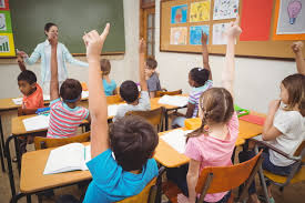 Education Sciences
